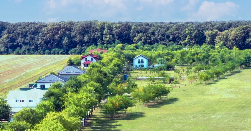 Ilfov, teren premium la Codrii Vlasiei comunitate privata vecini milionari.